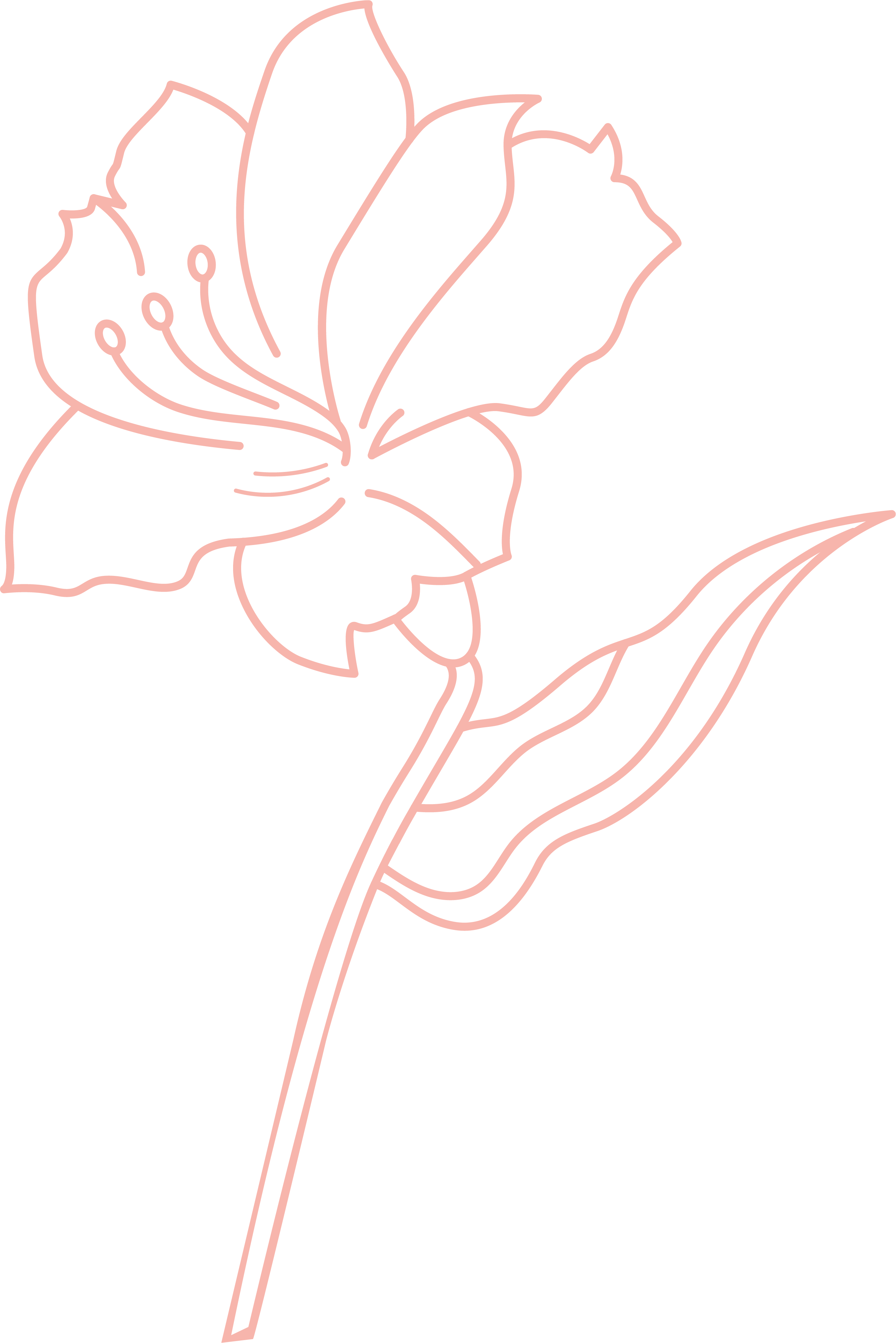 PP Sian Burton Flower1